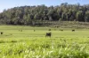 290 Batman Highway, Sidmouth, Tas 7270-Image