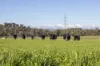 290 Batman Highway, Sidmouth, Tas 7270-Image