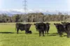 290 Batman Highway, Sidmouth, Tas 7270-Image