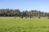 290 Batman Highway, Sidmouth, Tas 7270-Image