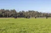 290 Batman Highway, Sidmouth, Tas 7270-Image