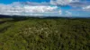 2965 Orara Way, Kremnos, NSW 2460