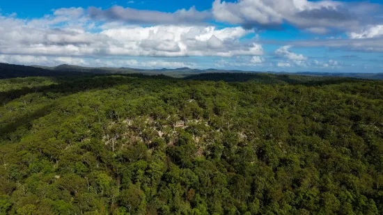2965 Orara Way, Kremnos, NSW 2460