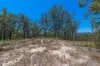 2965 Orara Way, Kremnos, NSW 2460-Image