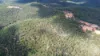 2965 Orara Way, Kremnos, NSW 2460-Image