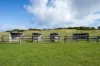 298 Nora Creina Road, Robe, SA 5276-Image