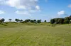 298 Nora Creina Road, Robe, SA 5276-Image