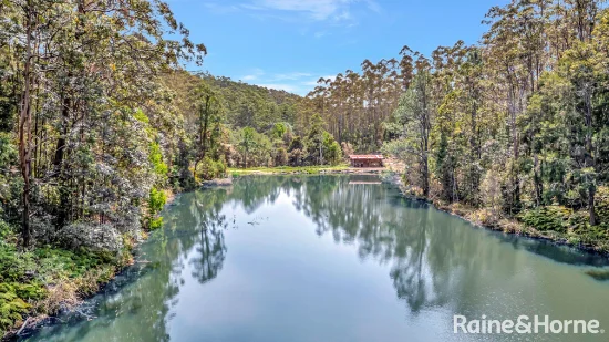 2984 Kyogle Road, Kunghur, NSW 2484