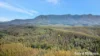 2984 Kyogle Road, Kunghur, NSW 2484-Image