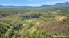 2984 Kyogle Road, Kunghur, NSW 2484-Image