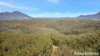 2984 Kyogle Road, Kunghur, NSW 2484-Image