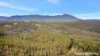 2984 Kyogle Road, Kunghur, NSW 2484-Image