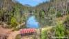 2984 Kyogle Road, Kunghur, NSW 2484-Image
