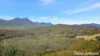 2984 Kyogle Road, Kunghur, NSW 2484-Image