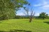 2b Araluen Street, Kendall, NSW 2439-Image