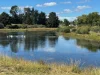 3 Opal Street Tingha, Inverell, NSW 2360-Image