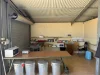 3 Opal Street Tingha, Inverell, NSW 2360-Image