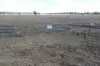 3, T Moore Road, Oakey, Qld 4401-Image