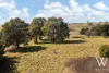 30 Turner Street, Barry, NSW 2799-Image