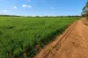 3042 Wilding Road, Wongan Hills, WA 6603-Image