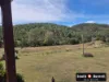 305 McCauley Weir Road, South East Nanango, Qld 4615-Image