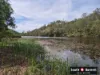 305 McCauley Weir Road, South East Nanango, Qld 4615-Image