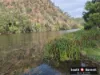 305 McCauley Weir Road, South East Nanango, Qld 4615-Image