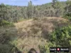 305 McCauley Weir Road, South East Nanango, Qld 4615-Image