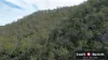 305 McCauley Weir Road, South East Nanango, Qld 4615-Image