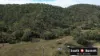 305 McCauley Weir Road, South East Nanango, Qld 4615-Image