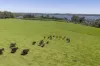 305 Myra Vale Road, Wildes Meadow, NSW 2577-Image