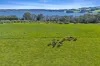305 Myra Vale Road, Wildes Meadow, NSW 2577-Image