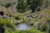 305 Yarrabin Road, Mudgee, NSW 2850-Image