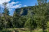 3077 Christmas Creek Road, Lamington QLD 4285-Image