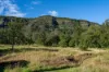 3077 Christmas Creek Road, Lamington QLD 4285-Image