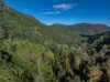 3077 Christmas Creek Road, Lamington QLD 4285-Image