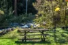 3077 Christmas Creek Road, Lamington QLD 4285-Image