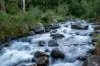 3077 Christmas Creek Road, Lamington QLD 4285-Image