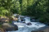 3077 Christmas Creek Road, Lamington QLD 4285-Image