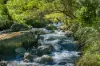 3077 Christmas Creek Road, Lamington QLD 4285-Image