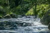 3077 Christmas Creek Road, Lamington QLD 4285-Image