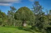 3077 Christmas Creek Road, Lamington QLD 4285-Image