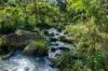 3077 Christmas Creek Road, Lamington QLD 4285-Image