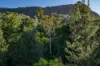 3077 Christmas Creek Road, Lamington QLD 4285-Image