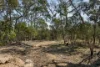 31 Reedy Creek Lane, Manar, NSW 2622-Image