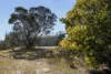 31 Reedy Creek Lane, Manar, NSW 2622-Image