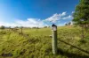 3123-3177 Wombeyan Caves Road, Bullio, NSW 2575
