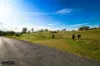 3123-3177 Wombeyan Caves Road, Bullio, NSW 2575-Image