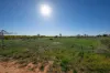 314 Dow Avenue, Irymple, Vic 3498-Image