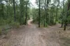 3164 Kangaroo Creek Road, Kangaroo Creek, NSW 2460-Image